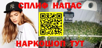 сатива Пушкино