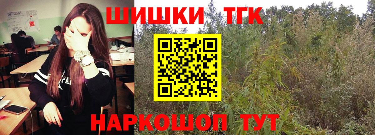 Канабис OG Kush Россия